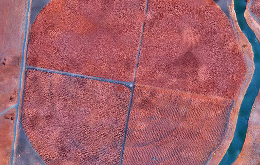 scoutaerial-agri-centre-pivot-nir scoutaerial-agri-centre-pivot-nir