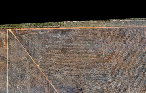 scoutaerial-forestry-hqpine scoutaerial-forestry-hqpine