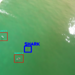 sharkdetection-drones