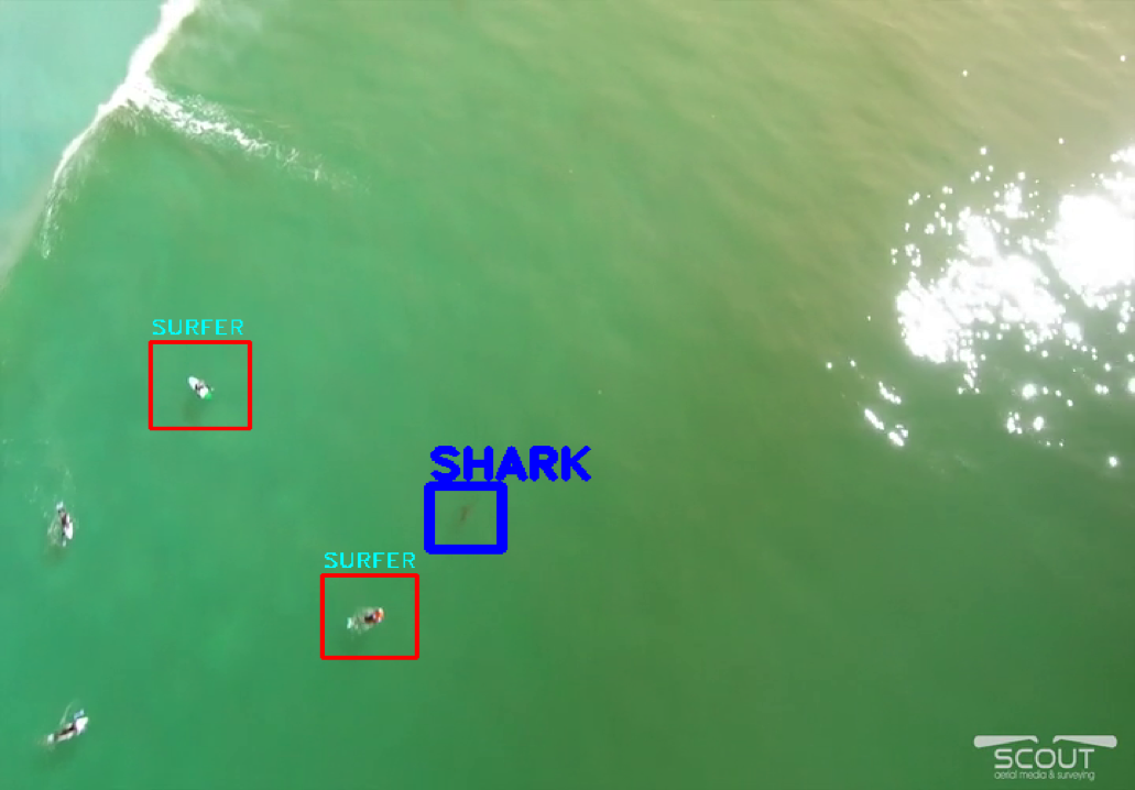 sharkdetection-drones