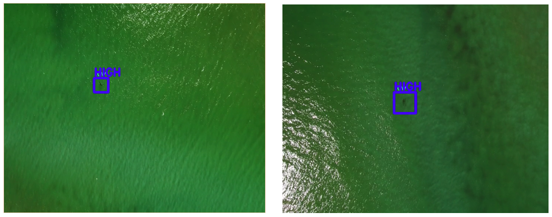 Machine Learning for detecting sharks - Scout Aerial Australia