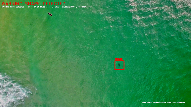 scoutaerial-shark_detection scoutaerial-shark_detection