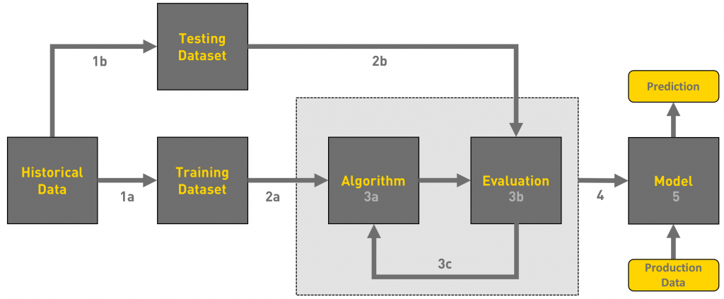 shark_detection_algorithm_development_workflow