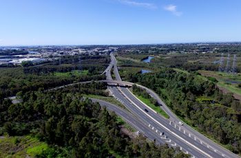 ROAD SURVEYS