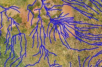 Drainage Network Simulation